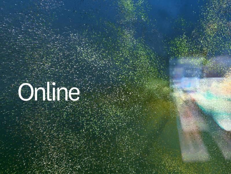 Shopify Online