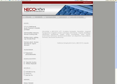 Necosys honlap