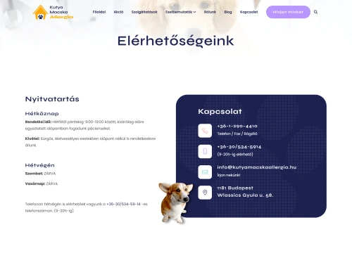 Kutya, macska allergia