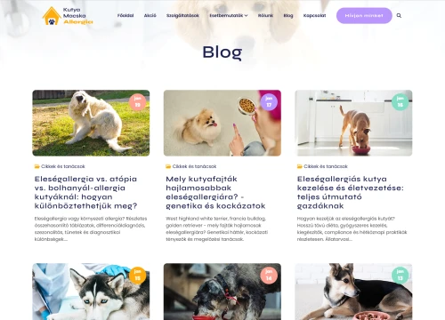 Kutya, macska allergia