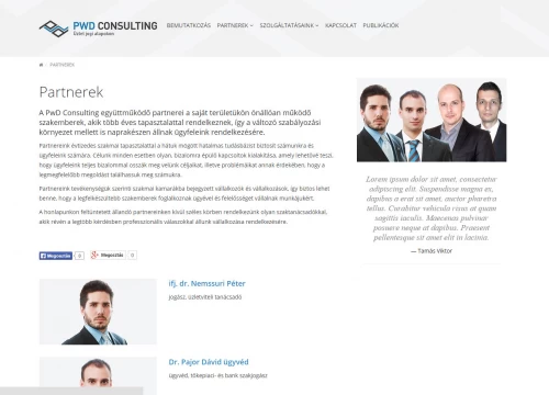 PwD Consulting v2